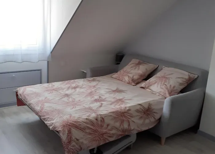 Individuel Chez Particulier Proche 24h Du Mans *